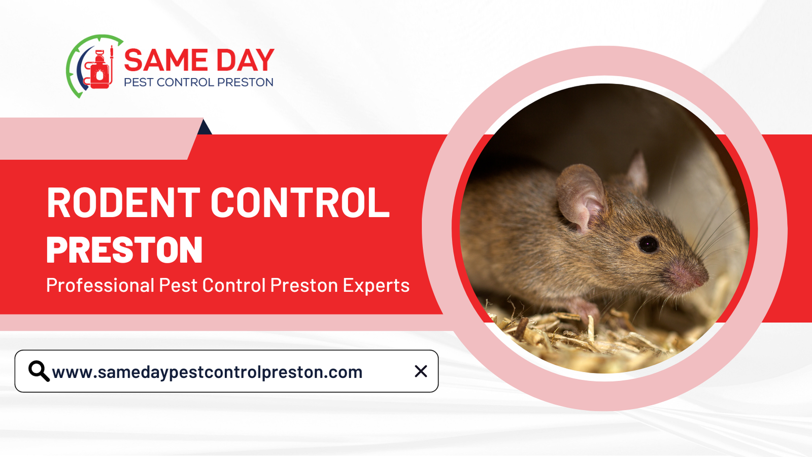rat control Preston