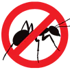 Ant Control Preston