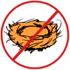 Bird Nest Removal Preston
