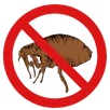 Flea Control Preston