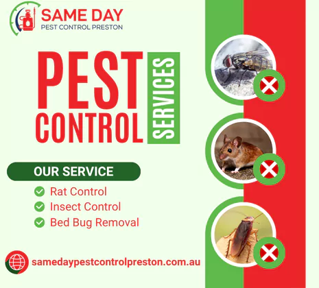 Pest Control Services Preston