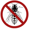 Wasp Control Preston
